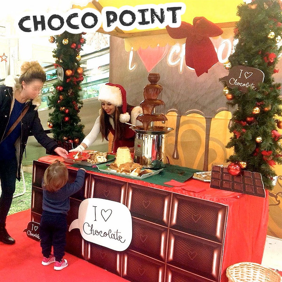 CHOCOLATE POINT