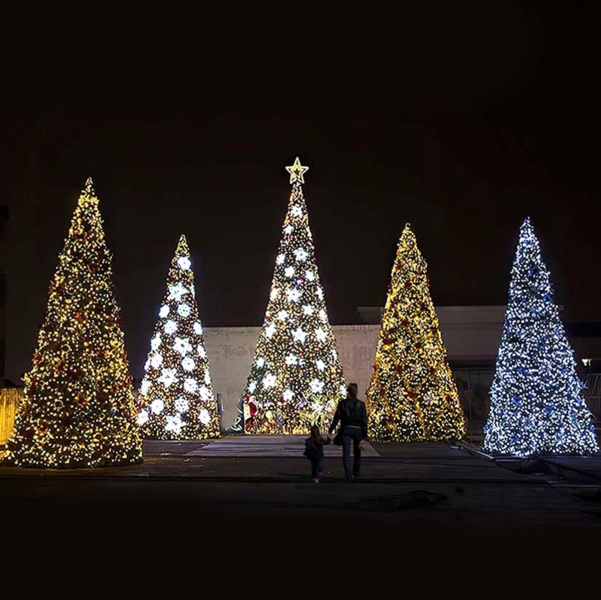 ALBERI DI NATALE GIGANTI ILLUMINATI