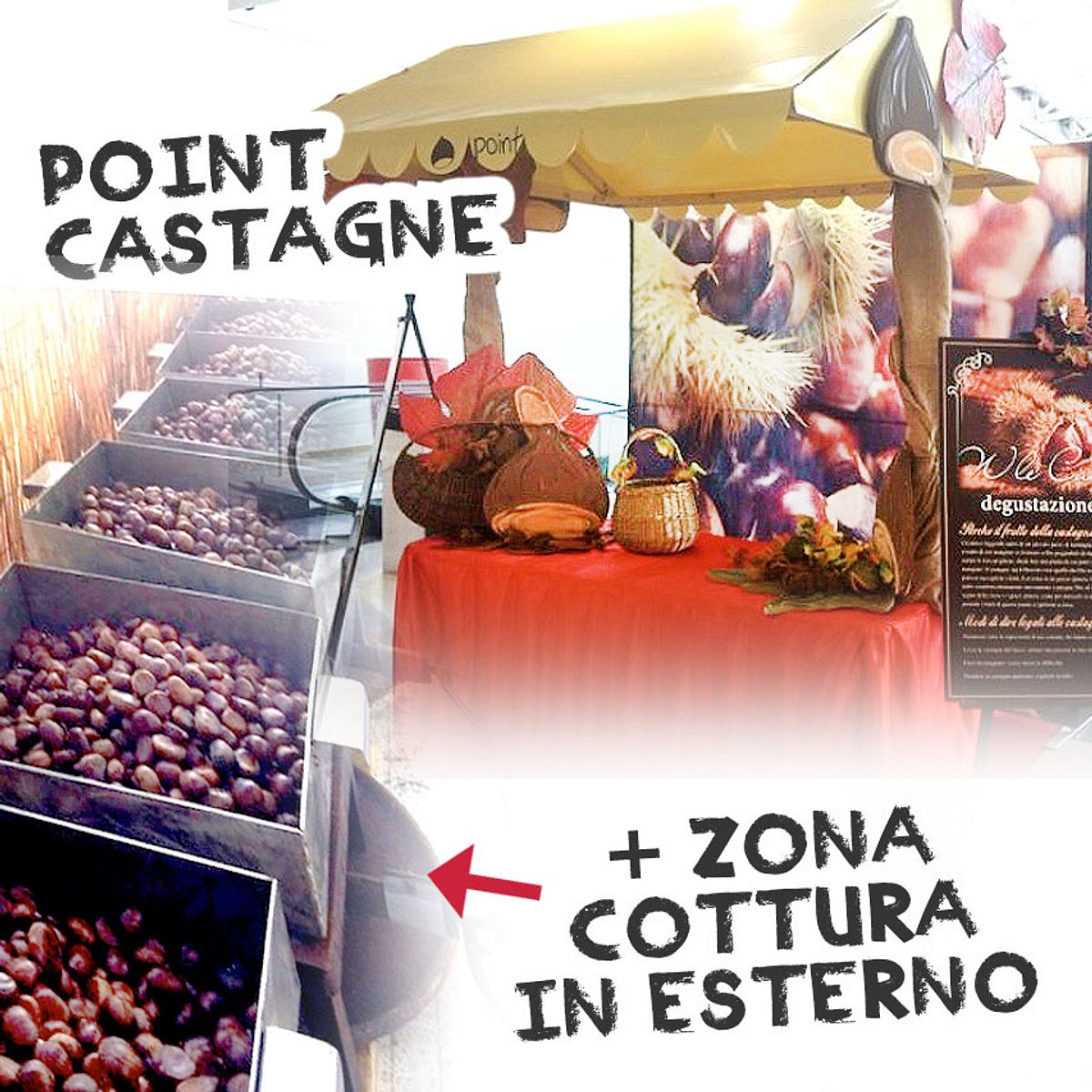 DEGUSTAZIONE CALDARROSTE