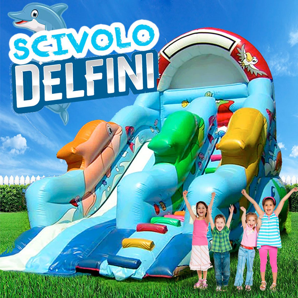 SCIVOLO MEDIO DELFINI